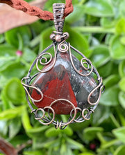 Bloodstone Wire Wrapped Pendant - Connie’s Crystals 